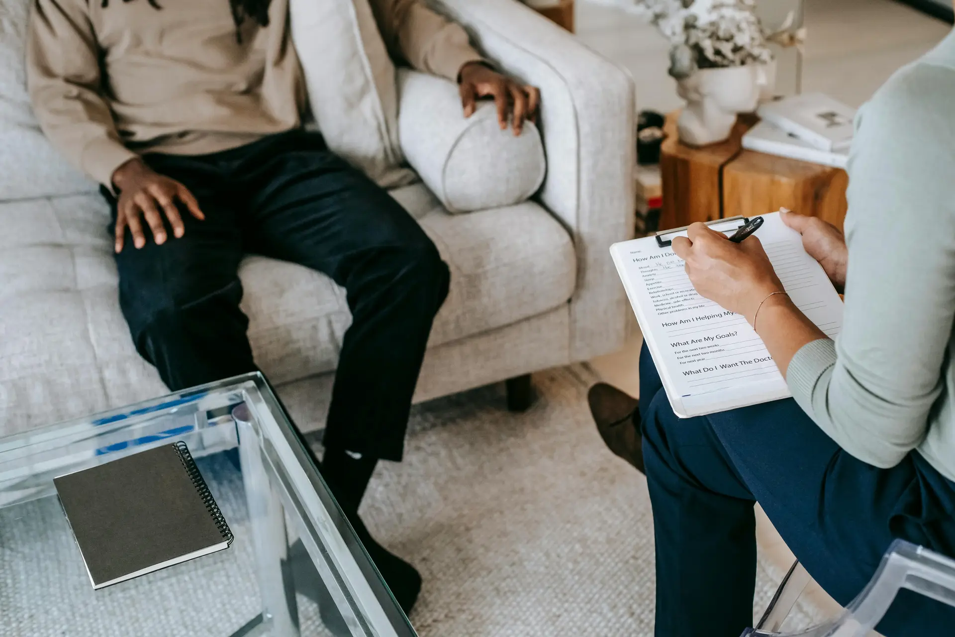 Dual Diagnosis therapy session on comfortable sofas