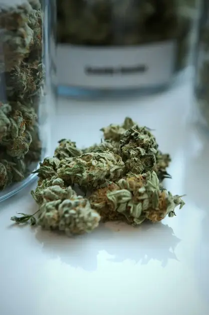 Top 5 Signs You Need Cannabis Counselling